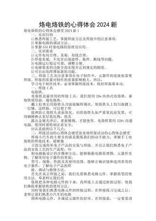 烙电烙铁的心得体会2024新
