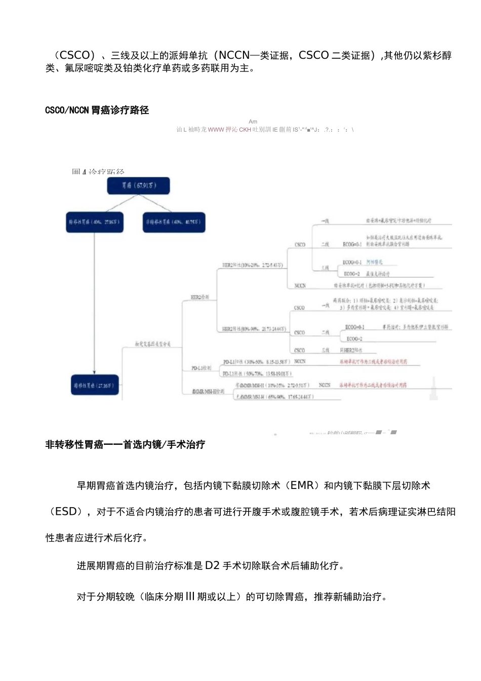 胃癌诊疗指南(CSCO&amp;NCCN),临床用药详解_第2页