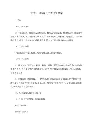 灾害、极端天气应急预案