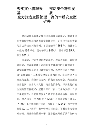 安全文化示范企业汇报材料