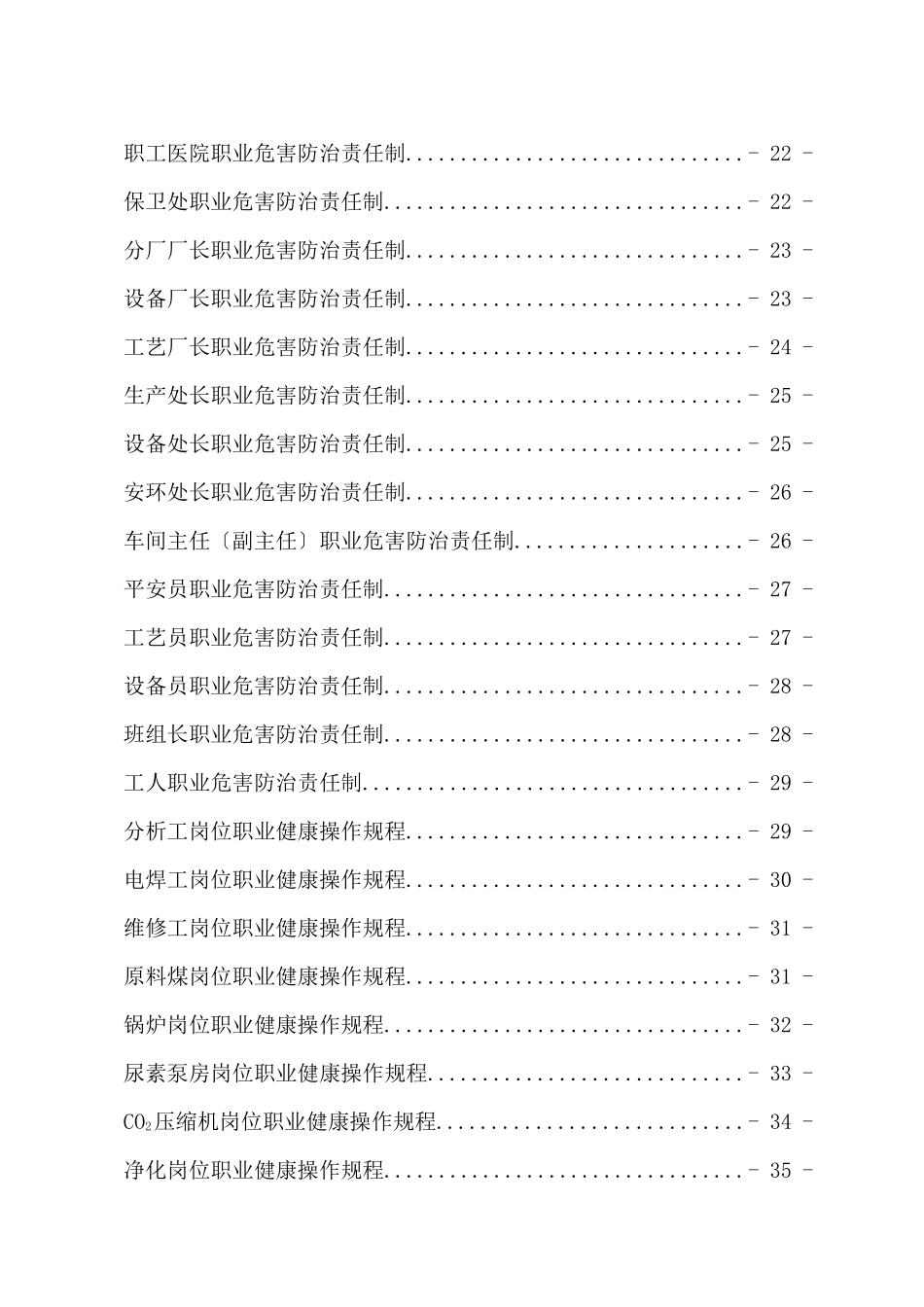 煤化工公司职业健康安全管理制度、责任制、操作规程_第2页