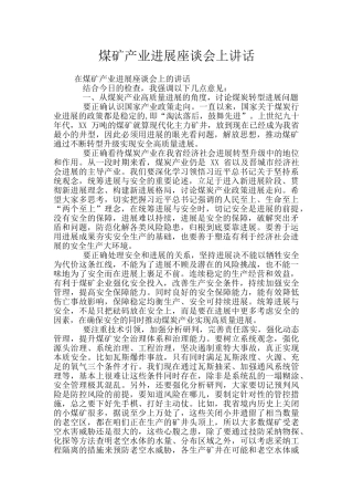 煤矿产业发展座谈会上讲话
