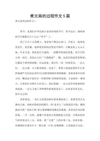煮元宵的过程作文5篇