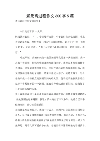 煮元宵过程作文600字5篇