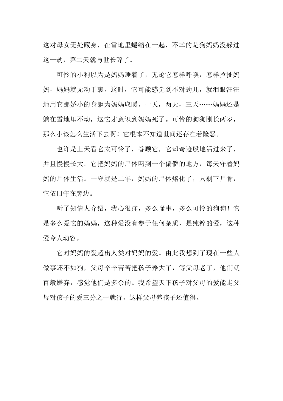 爱-关于爱的作文00字_第2页