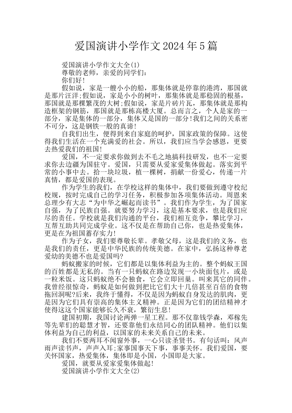 爱国演讲小学作文2024年5篇_第1页