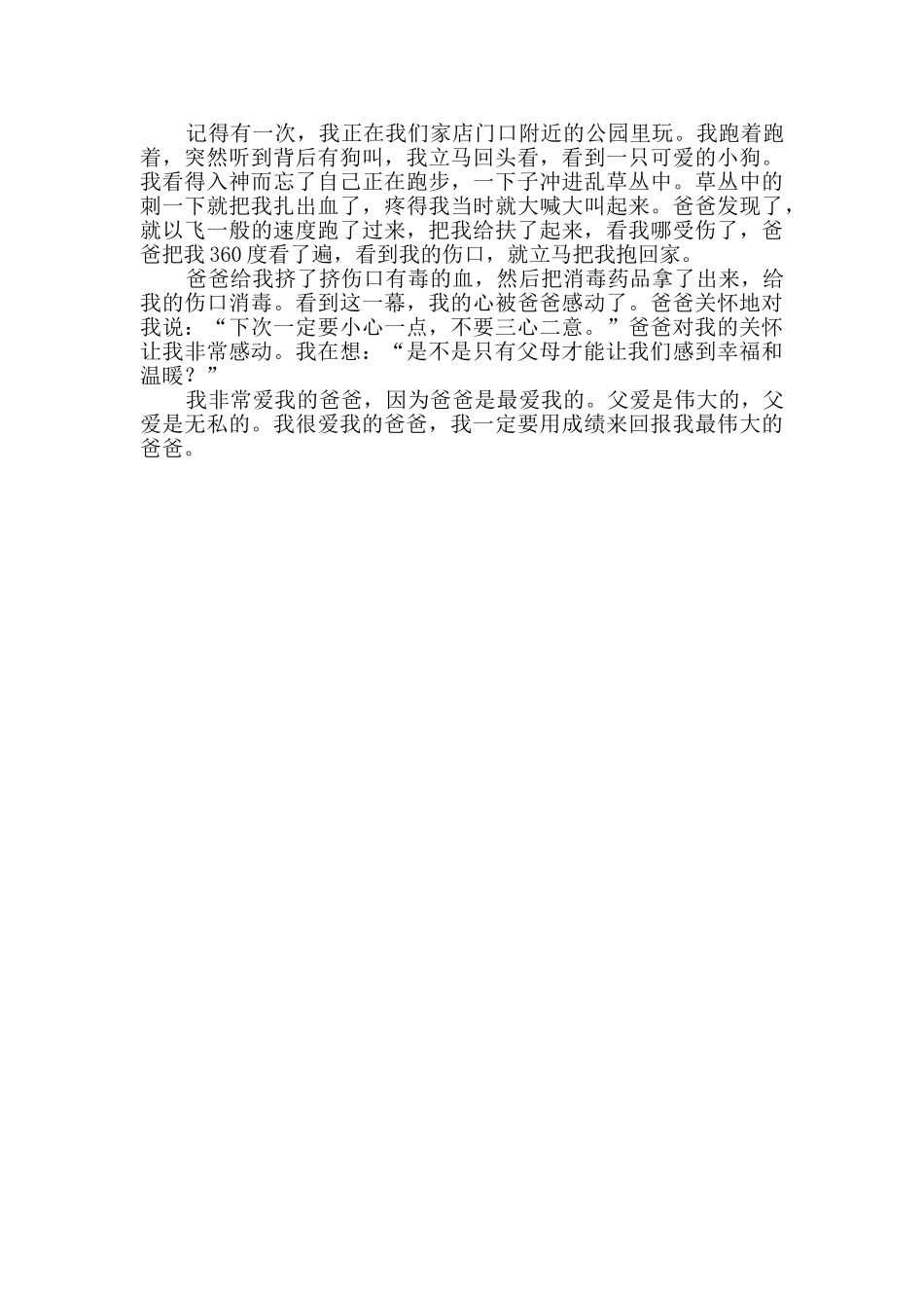 爸爸的爱小学生作文300字_第2页