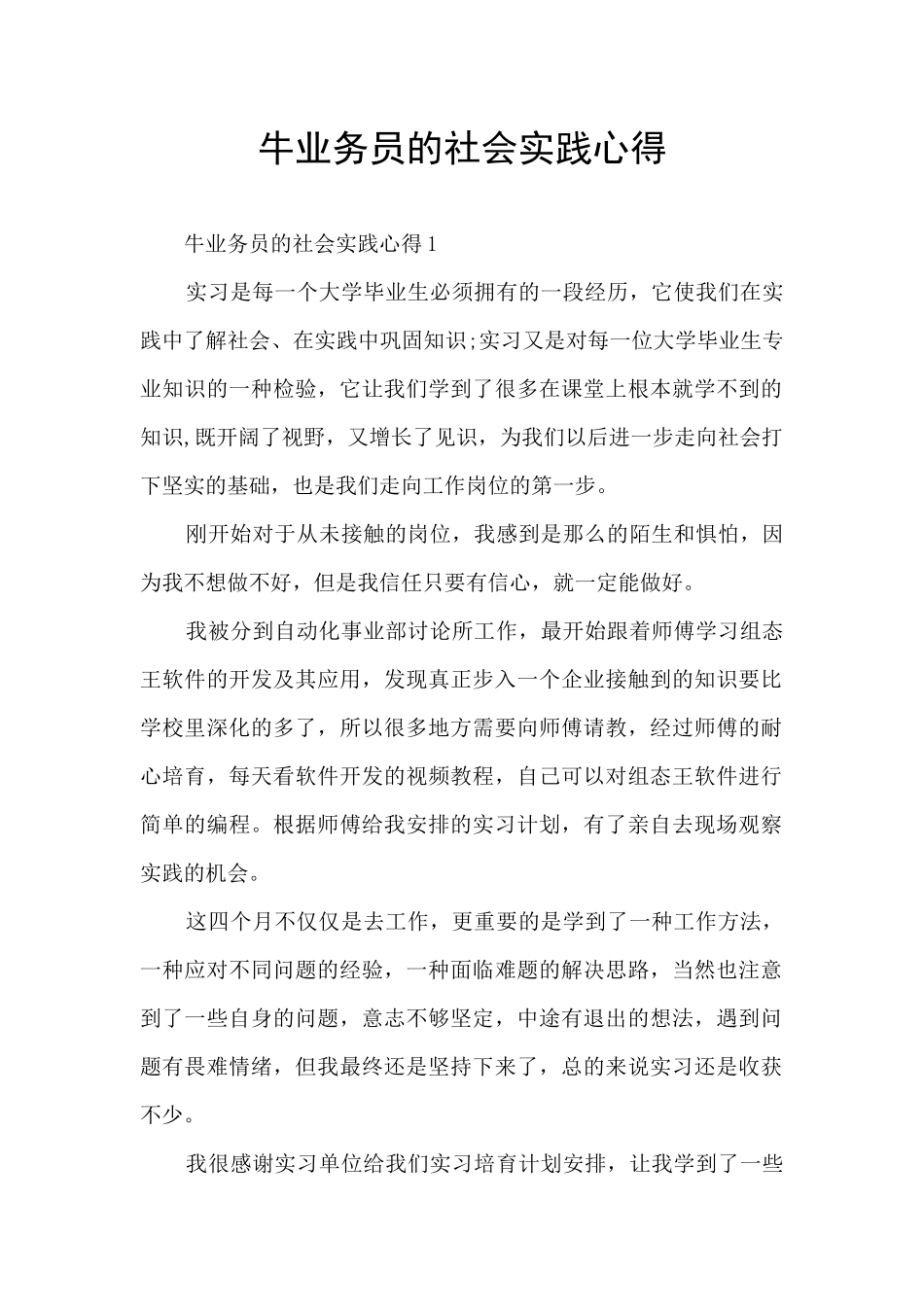 牛业务员的社会实践心得_第1页