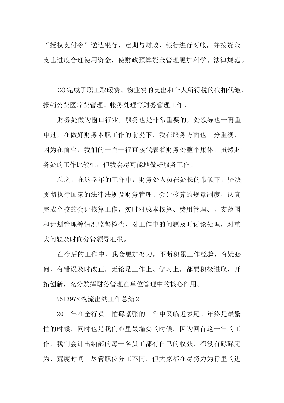 物流出纳工作总结5篇_第2页