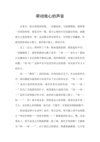 牵动我心的声音