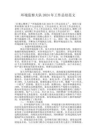环境监察大队2024年工作总结范文