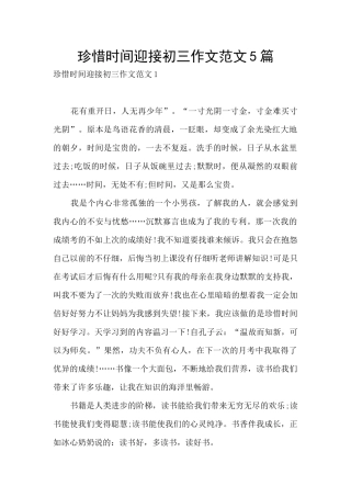 珍惜时间迎接初三作文范文5篇