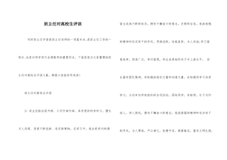 班主任对大学生评语