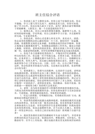 班主任综合评语-2