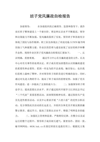 班子党风廉政自检报告