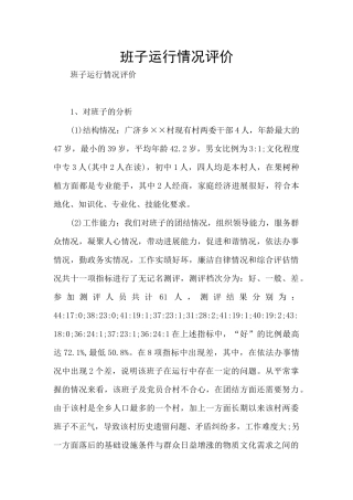 班子运行情况评价