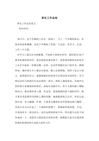 班长工作总结-1