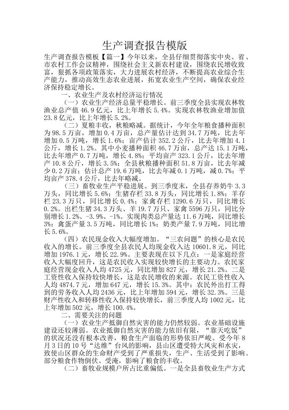 生产调查报告模版_第1页