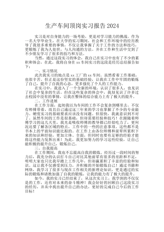 生产车间顶岗实习报告2024