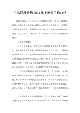 生态环境分局2024年上半年工作总结