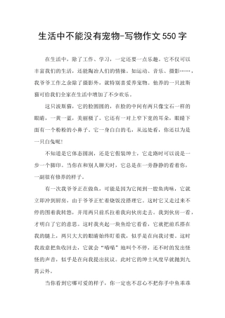 生活中不能没有宠物