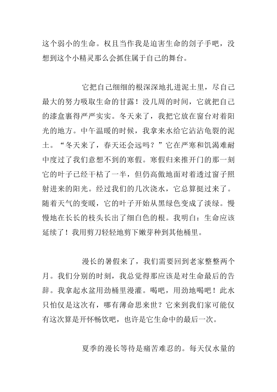 生活随笔-吊兰之心_第2页