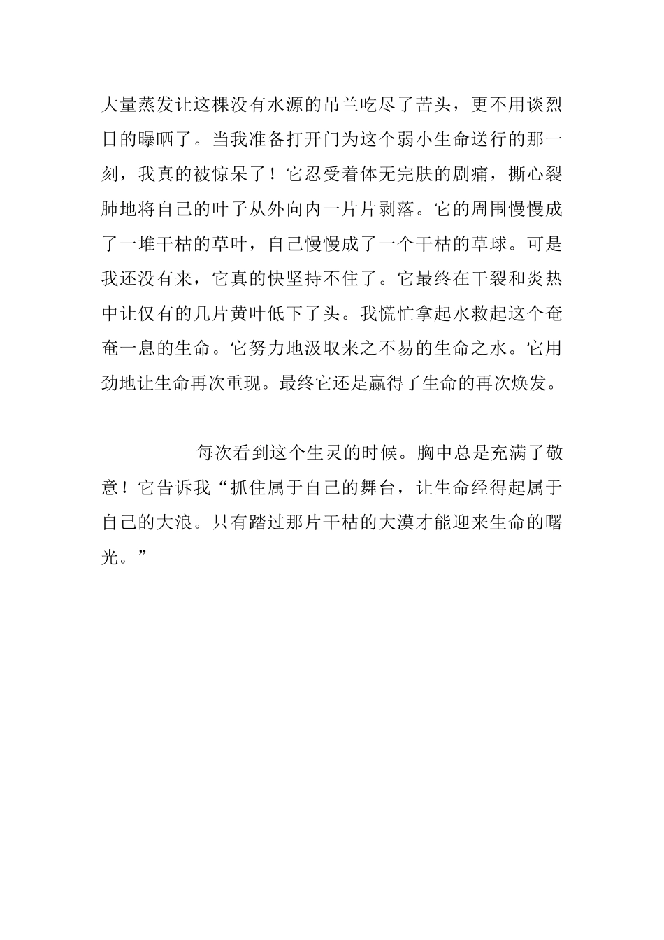 生活随笔-吊兰之心_第3页