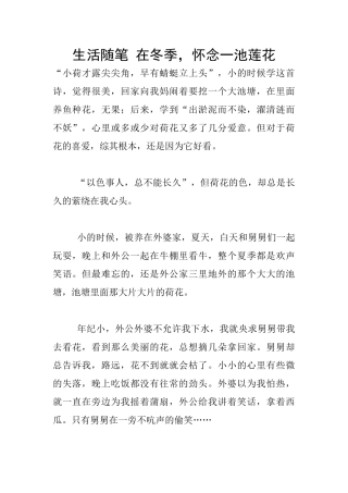 生活随笔-在冬季-怀念一池莲花