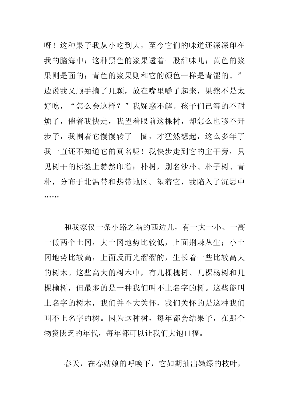 生活随笔-我的朴树情结_第2页