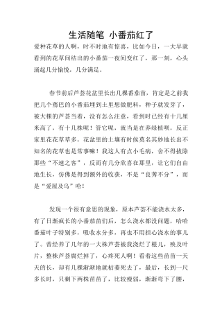 生活随笔-小番茄红了