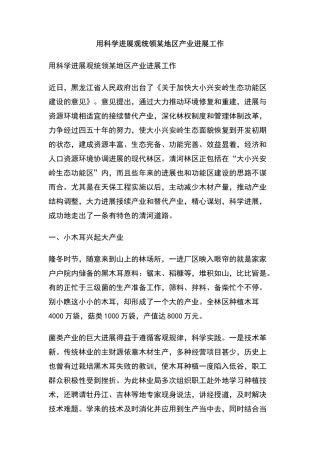 用科学发展观统领某地区产业发展工作