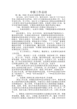 申报工作总结