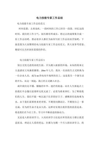 电力技能专家工作总结