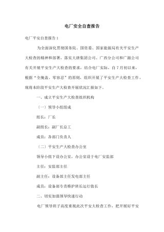 电厂安全自查报告