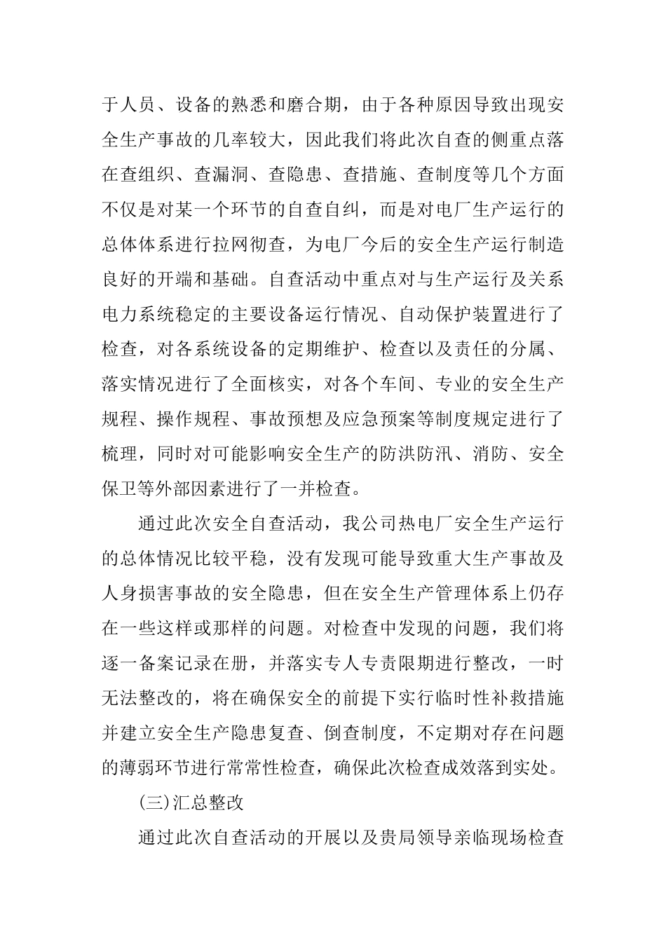 电厂安全自查报告范文_第2页