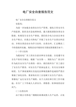 电厂安全自查报告范文