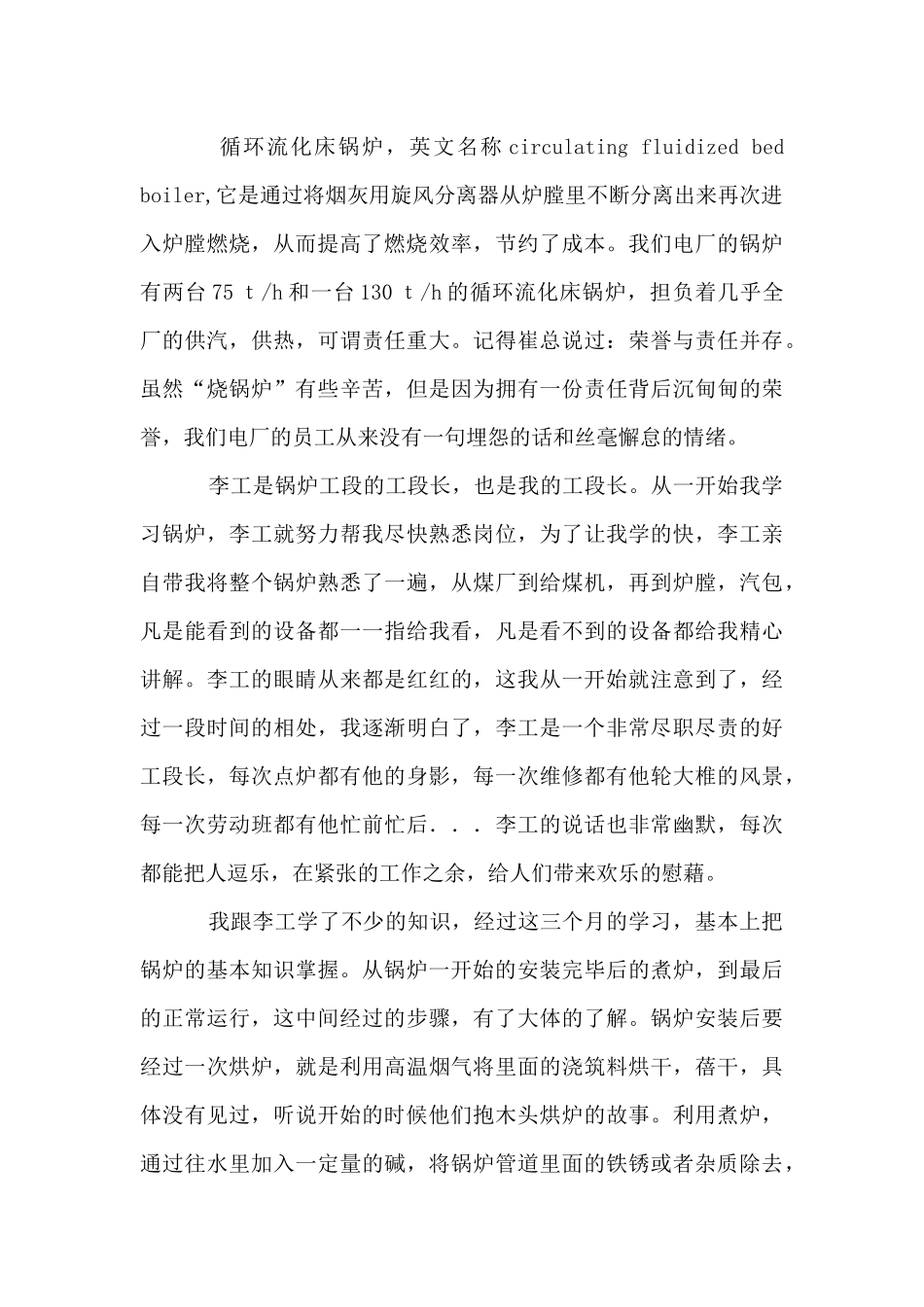 电厂锅炉个人工作总结_第2页