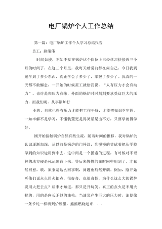 电厂锅炉个人工作总结