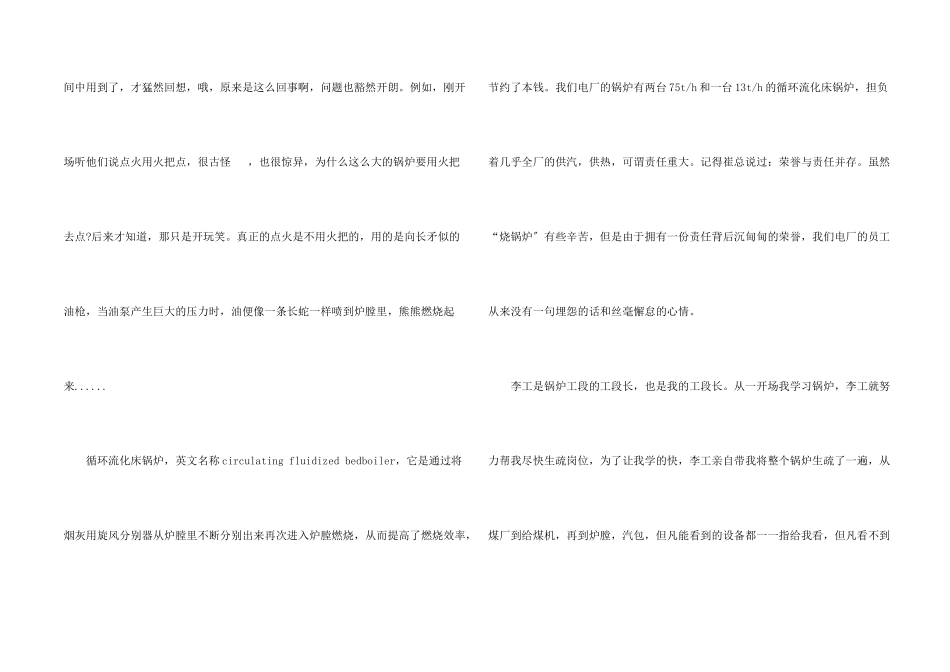电厂锅炉个人工作总结5篇_第2页