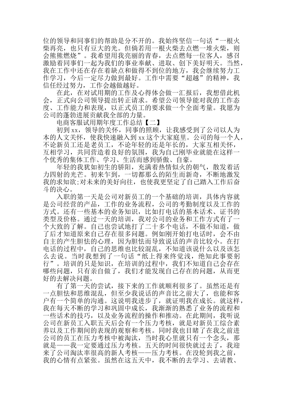 电商客服试用期工作总结范文精选_第2页