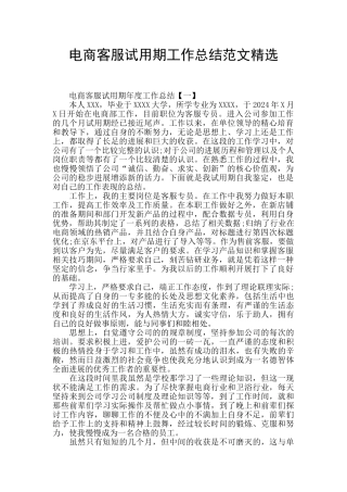 电商客服试用期工作总结范文精选