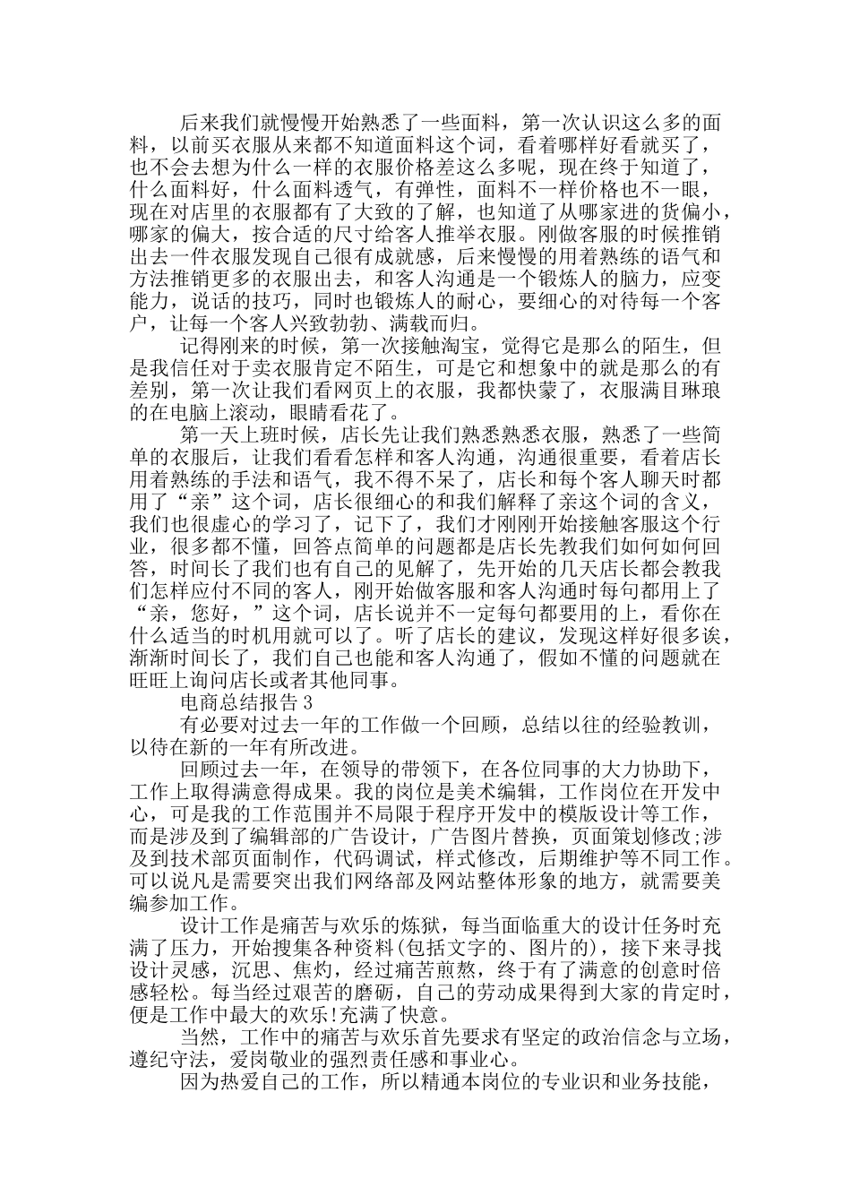 电商年度工作总结报告_第3页