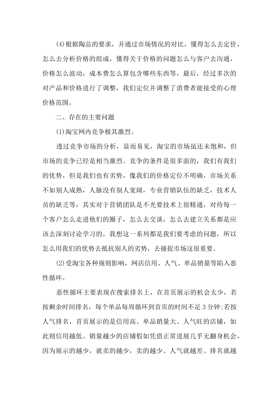 电商年终总结多篇_第3页