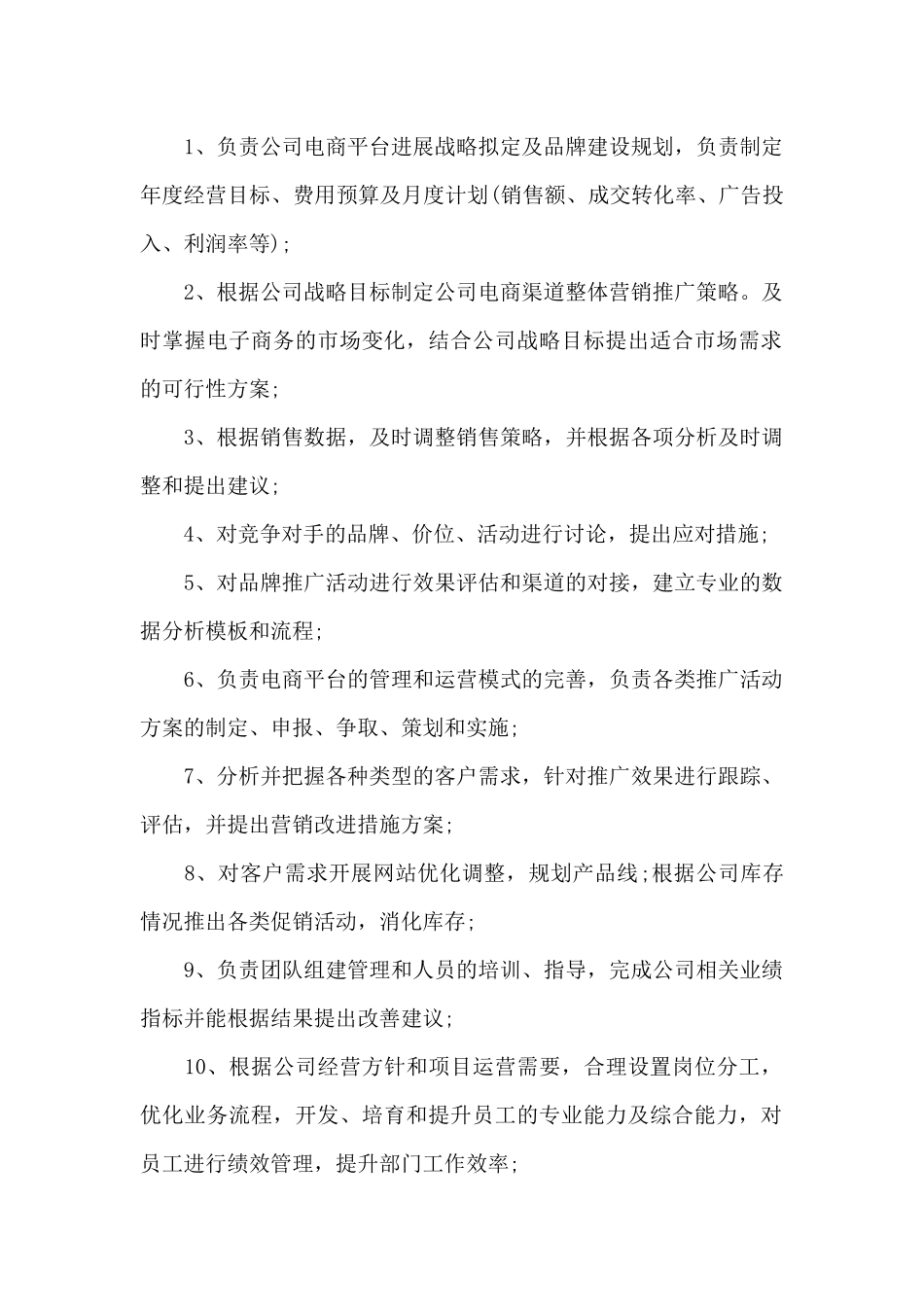 电商运营总监岗位的工作职责_第2页