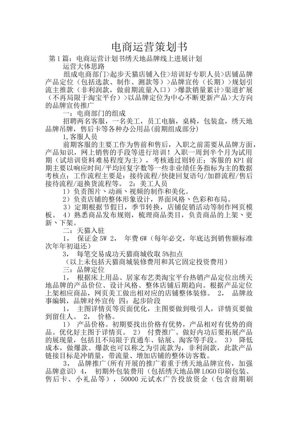 电商运营策划书_第1页