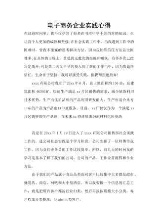 电子商务企业实践心得