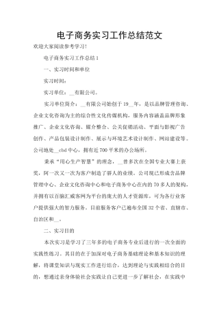 电子商务实习工作总结范文