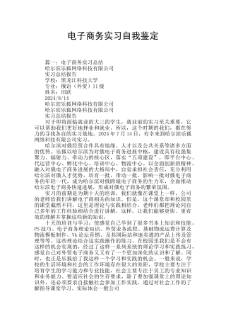 电子商务实习自我鉴定