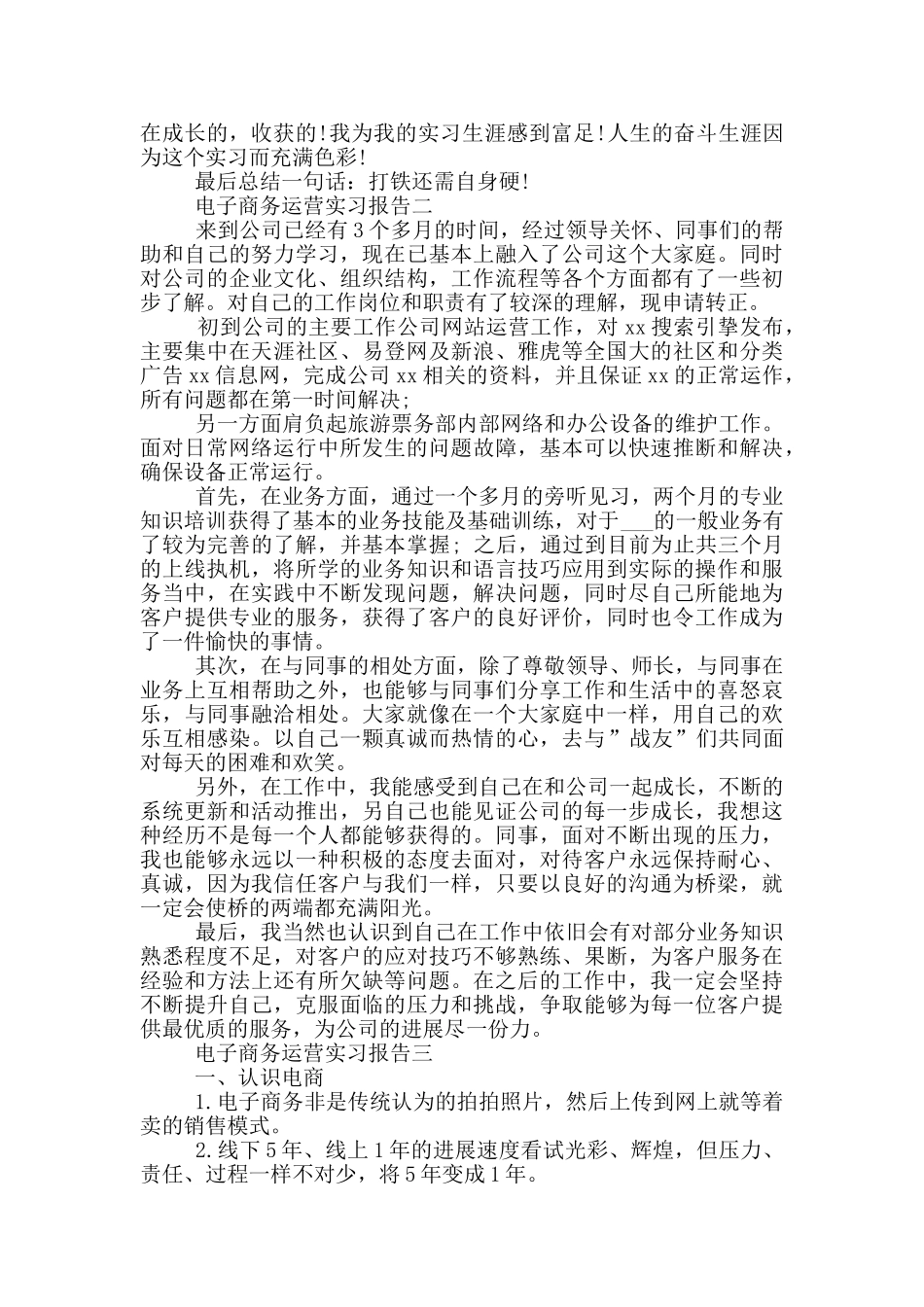 电子商务运营实习报告_第3页