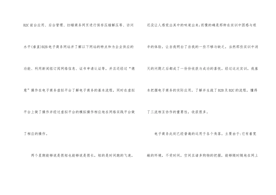 电子商务顶岗实习报告_第2页
